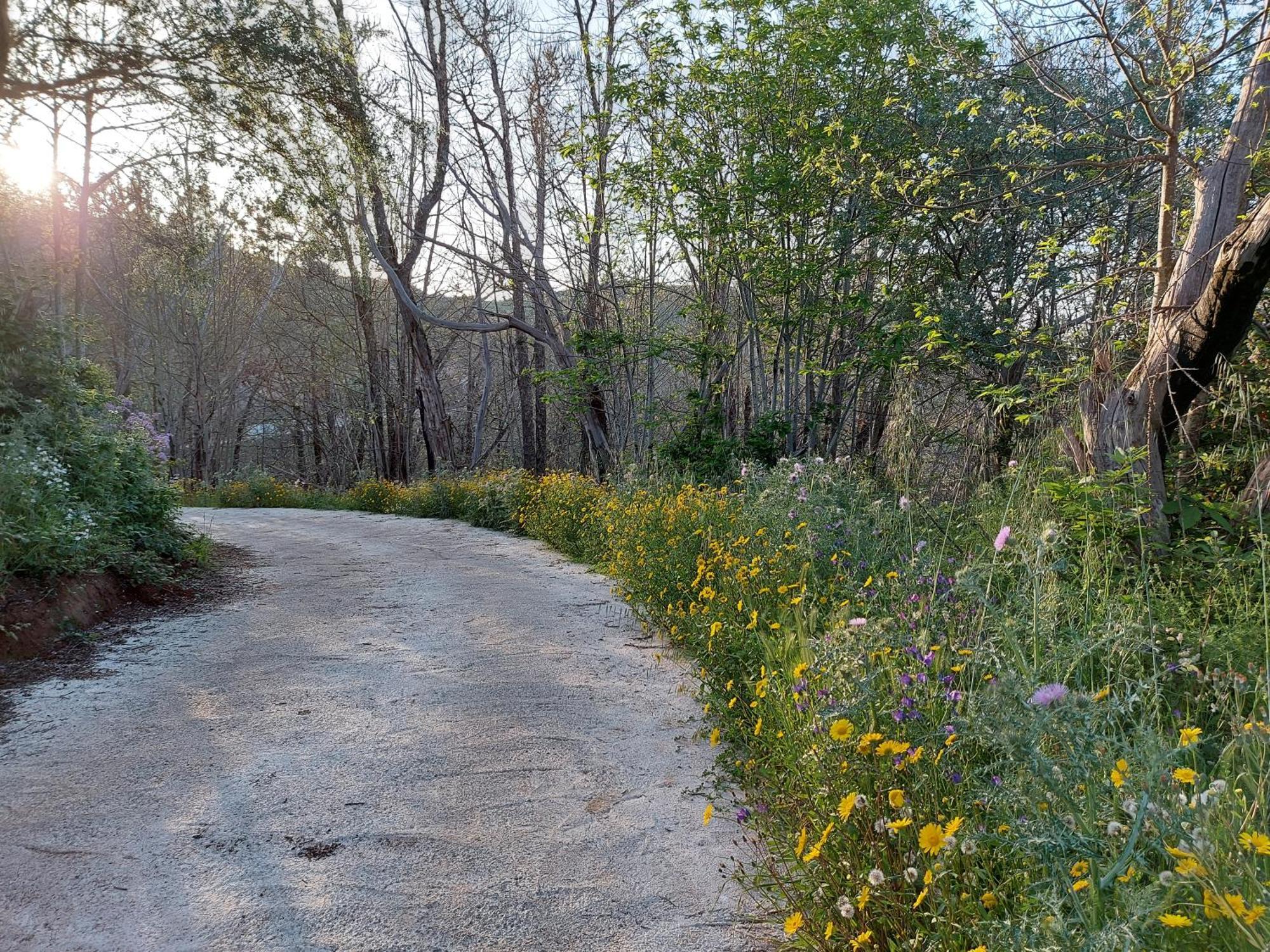 Finca Naturacanaria Moya  Екстериор снимка