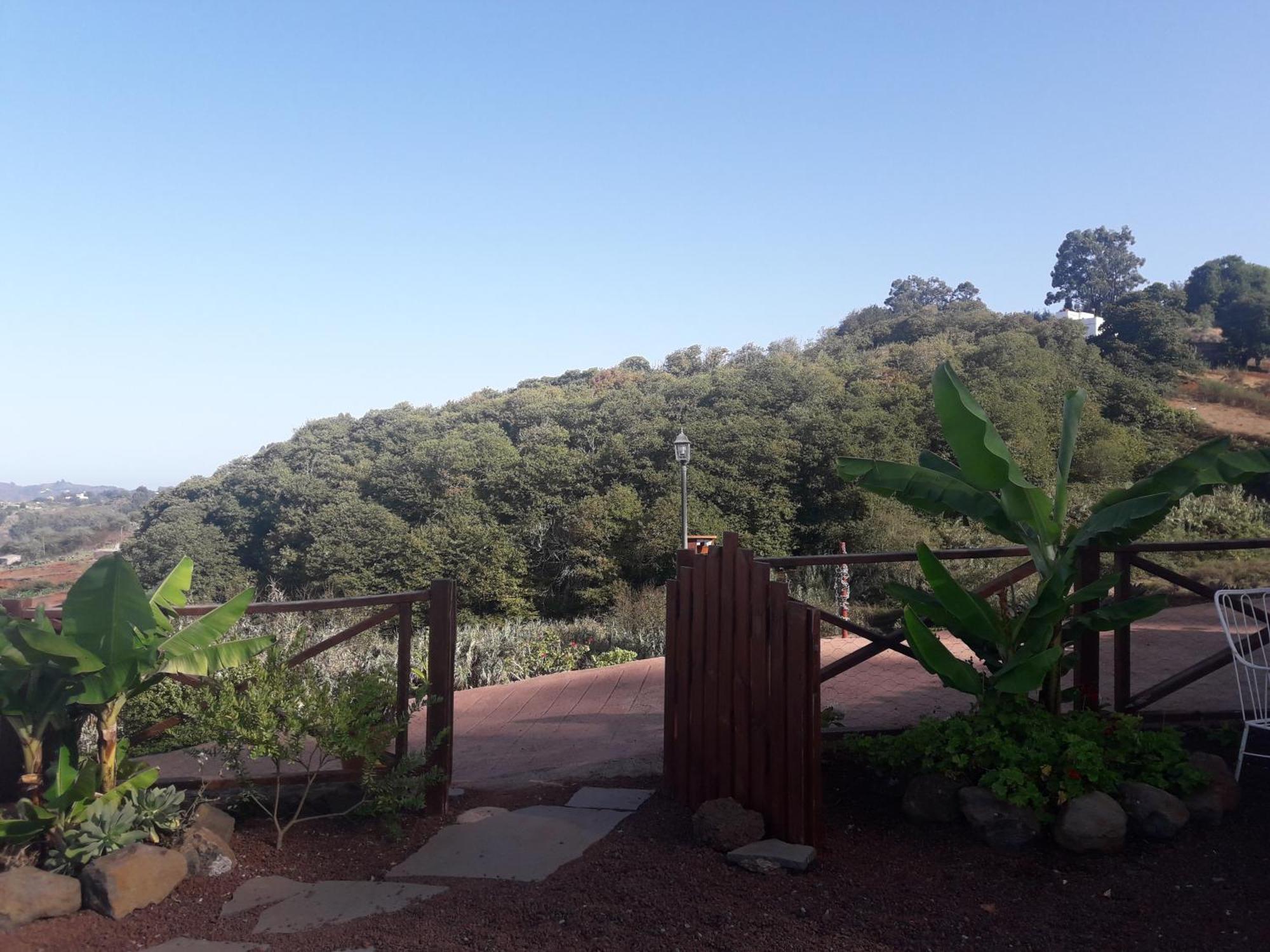 Finca Naturacanaria Moya  Екстериор снимка