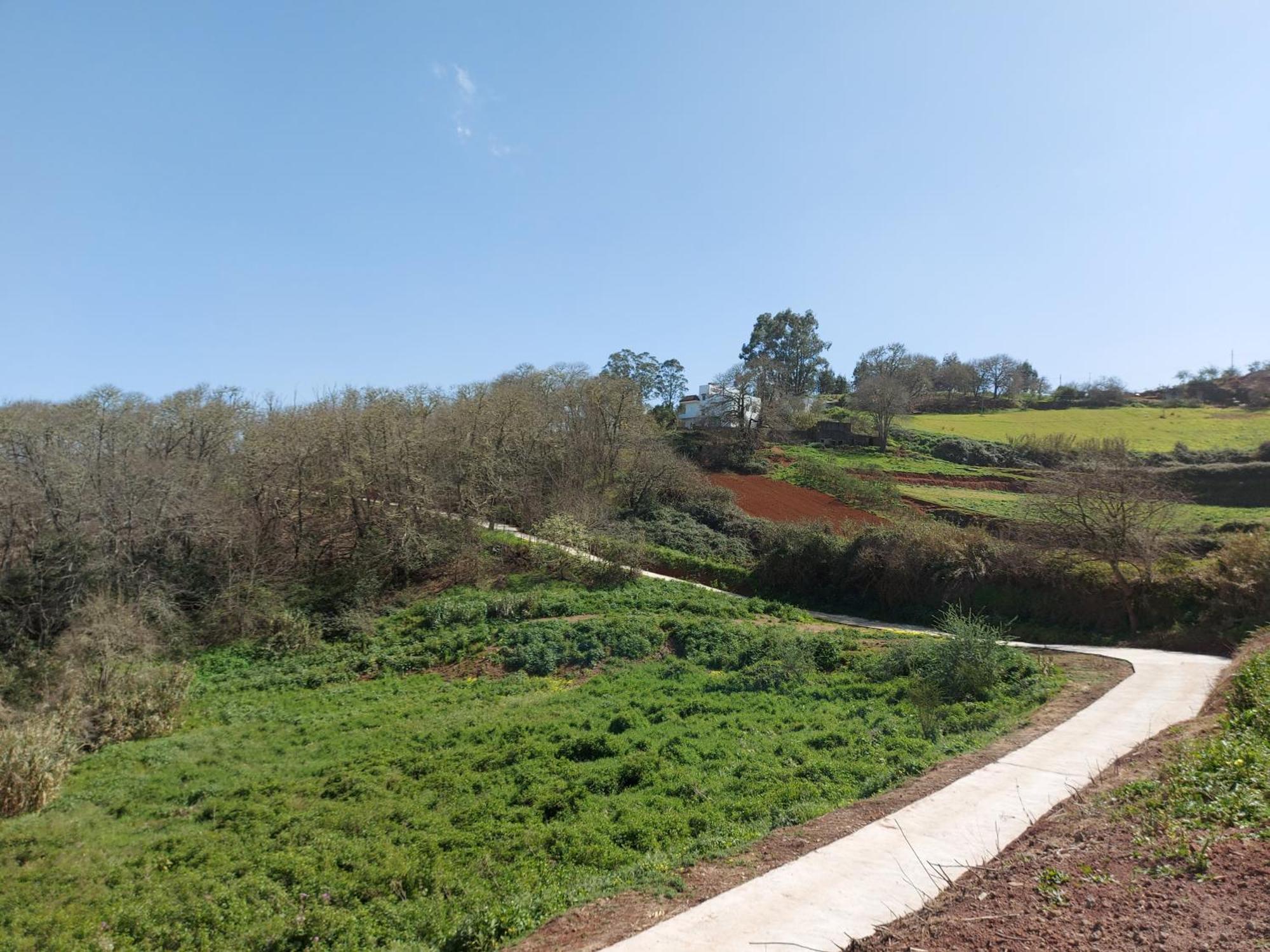 Finca Naturacanaria Moya  Екстериор снимка