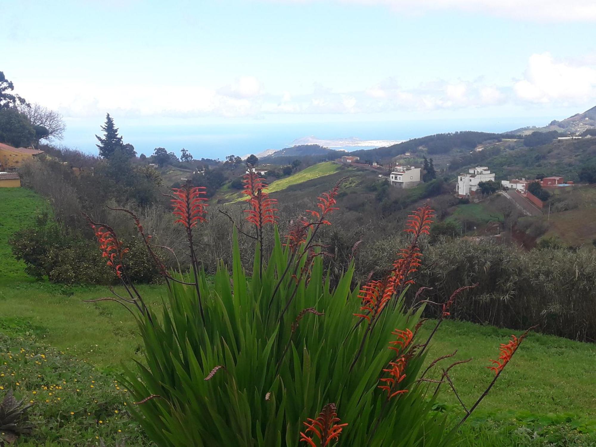Finca Naturacanaria Moya  Екстериор снимка