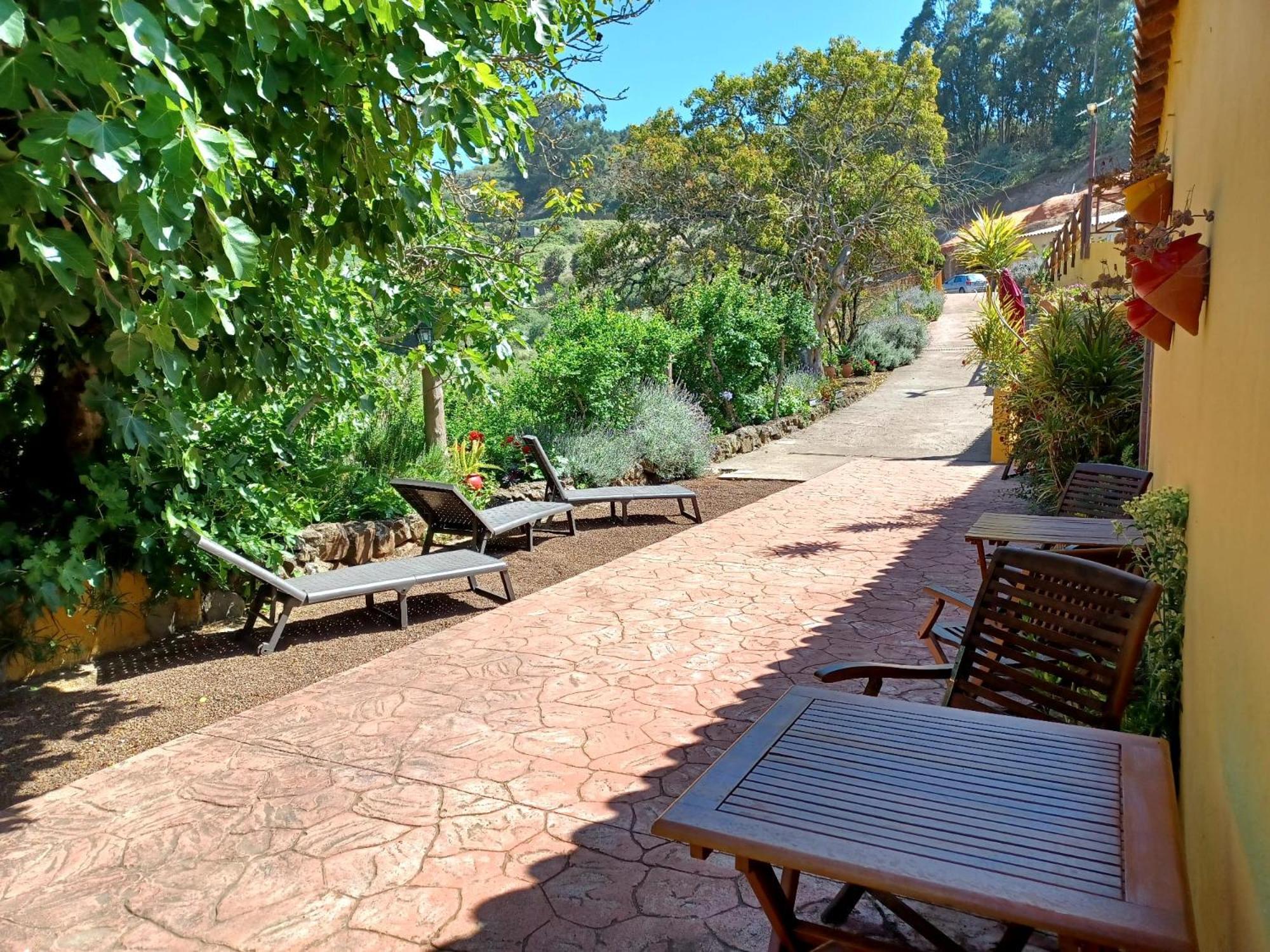 Finca Naturacanaria Moya  Екстериор снимка