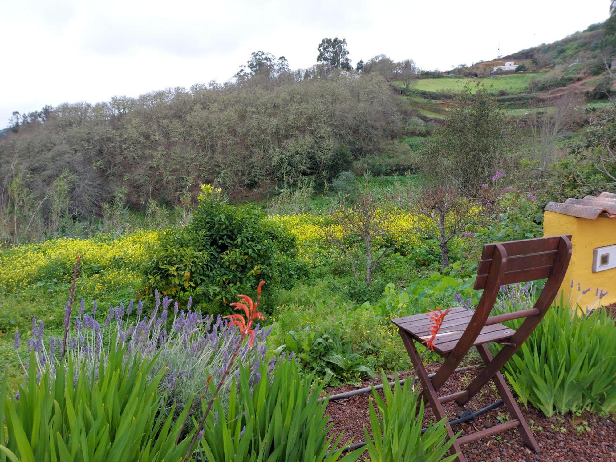 Finca Naturacanaria Moya  Екстериор снимка