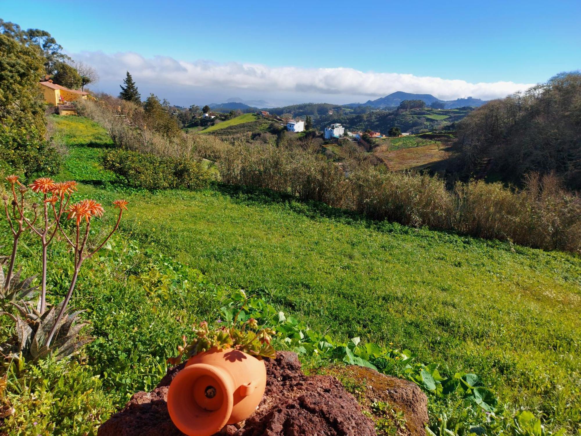 Finca Naturacanaria Moya  Екстериор снимка