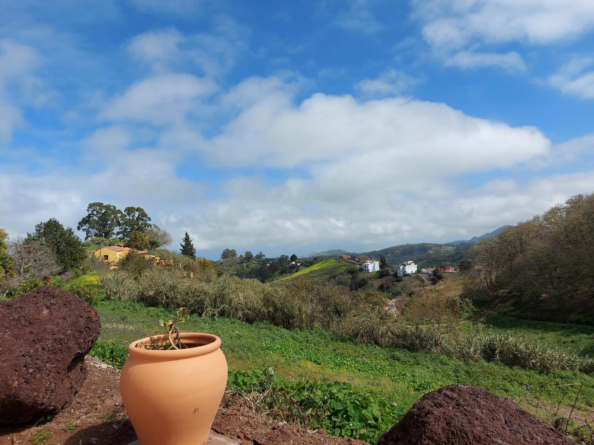 Finca Naturacanaria Moya  Екстериор снимка