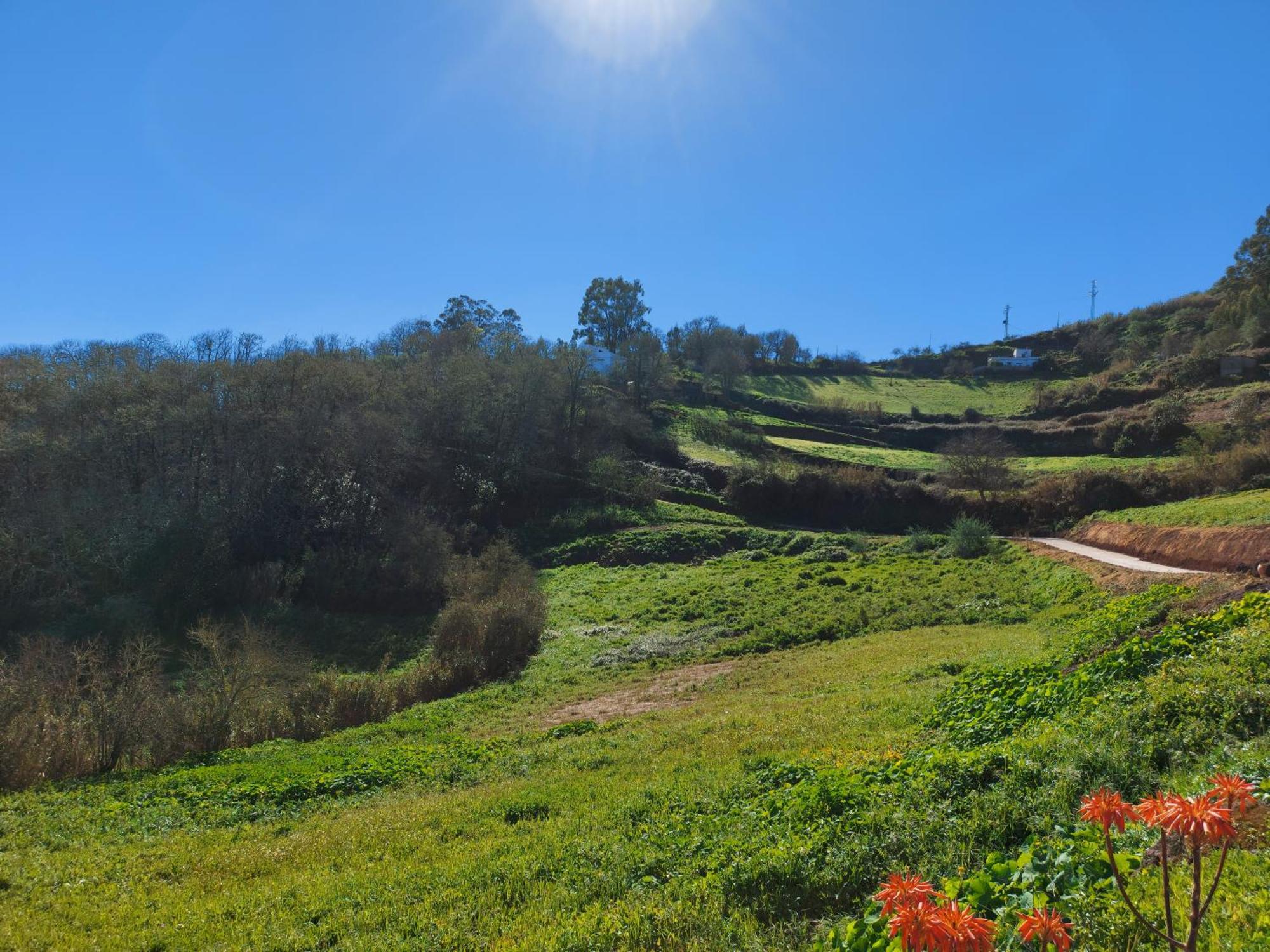 Finca Naturacanaria Moya  Екстериор снимка