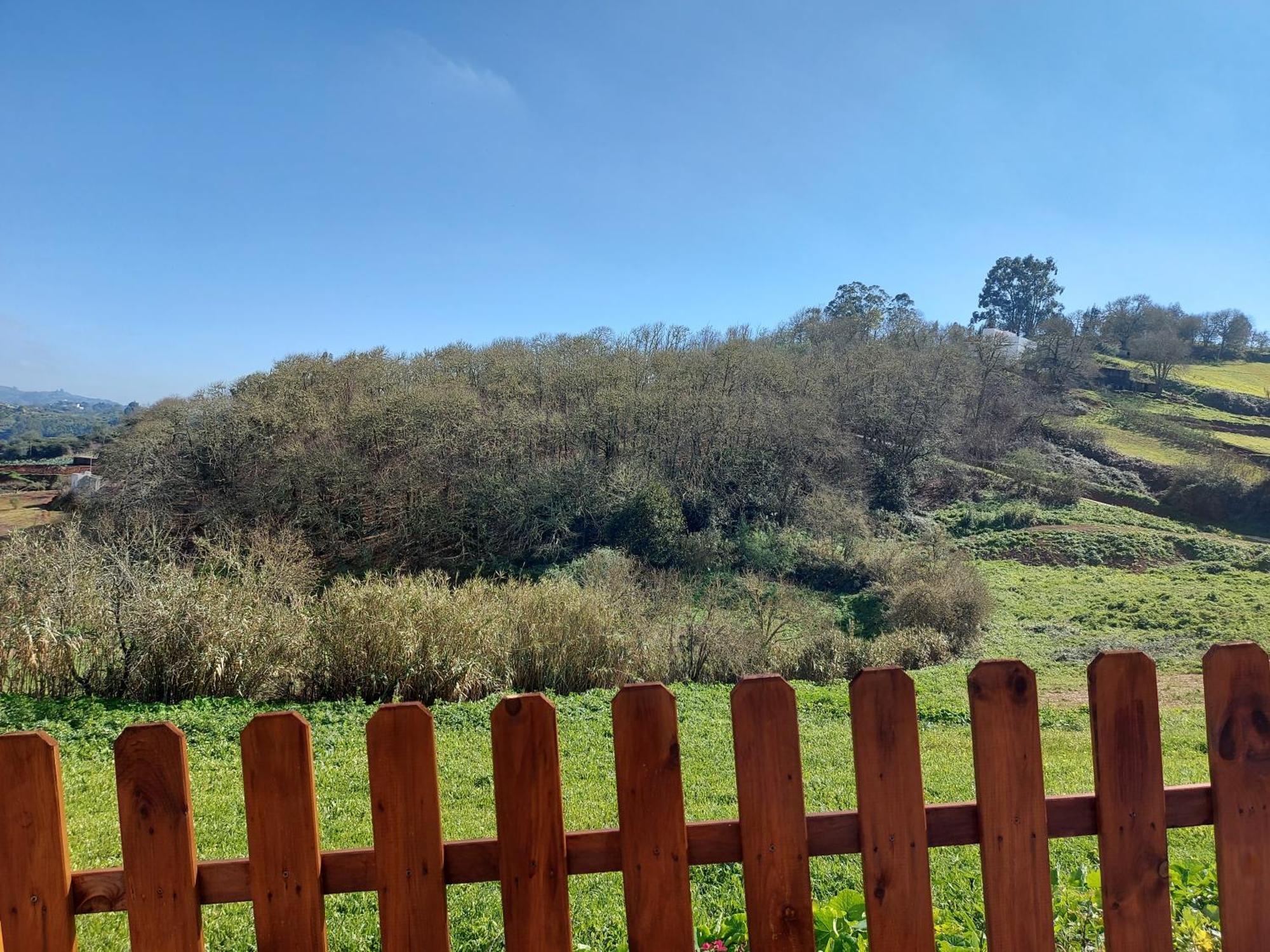 Finca Naturacanaria Moya  Екстериор снимка