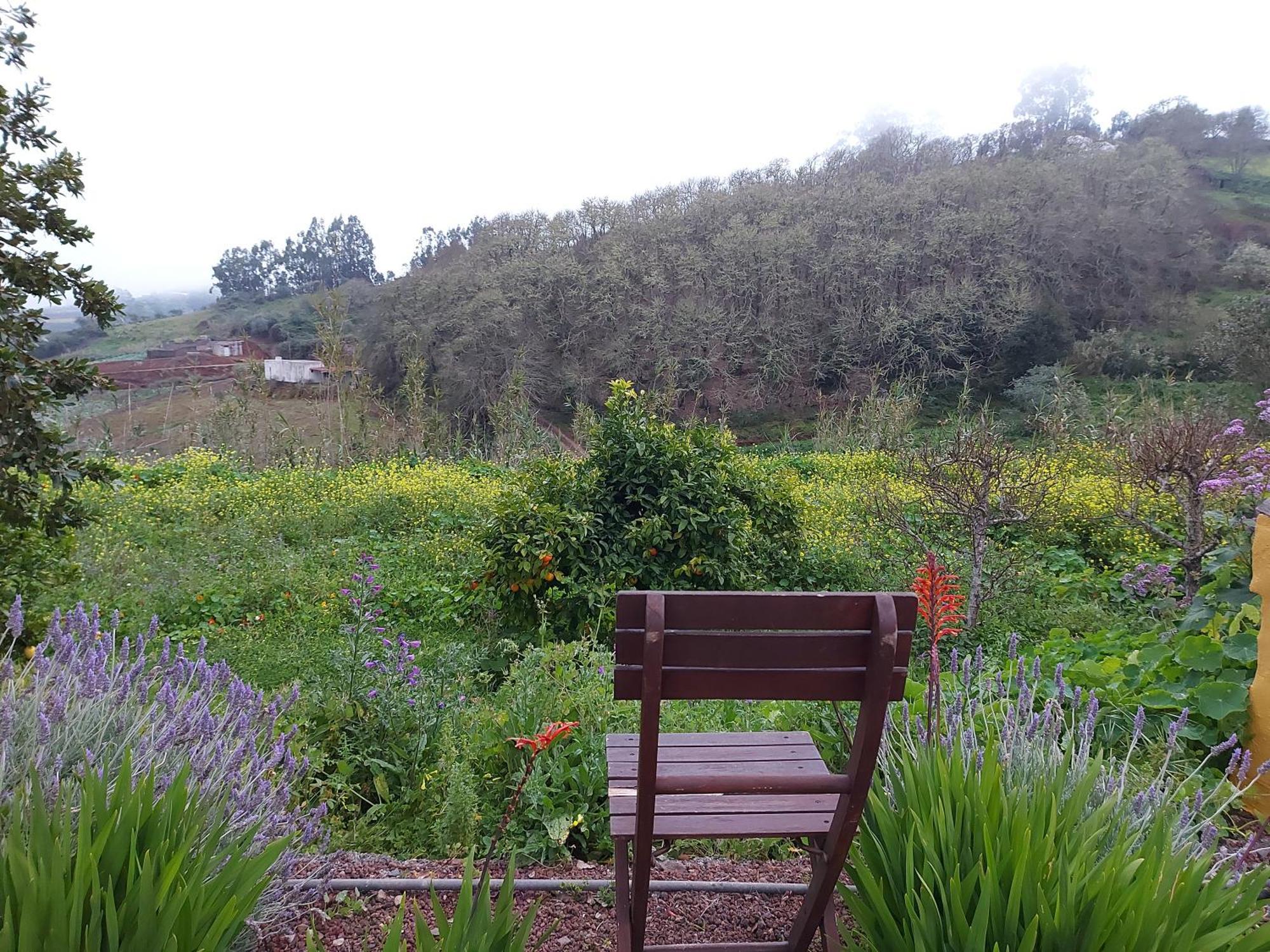 Finca Naturacanaria Moya  Екстериор снимка