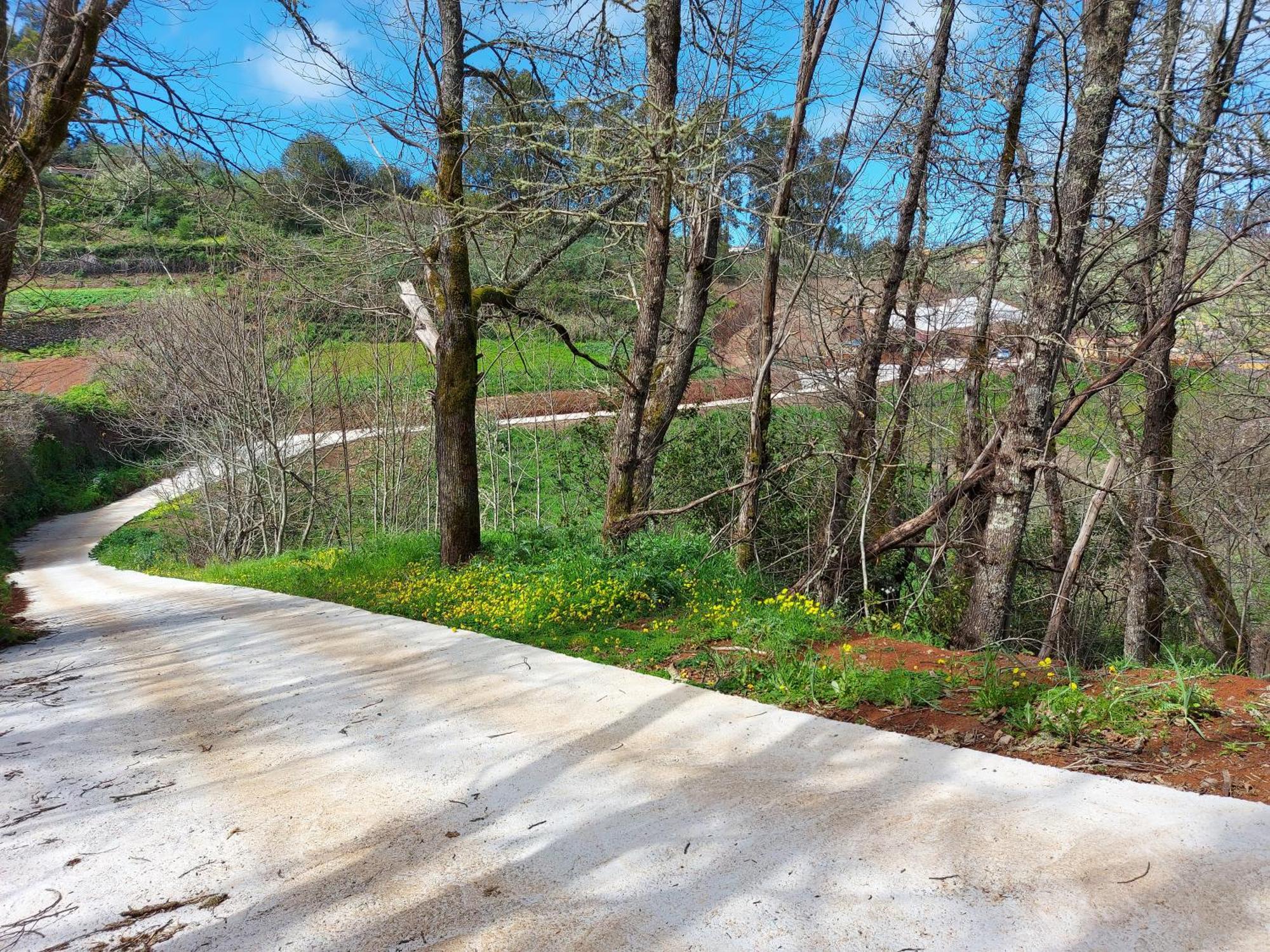 Finca Naturacanaria Moya  Екстериор снимка