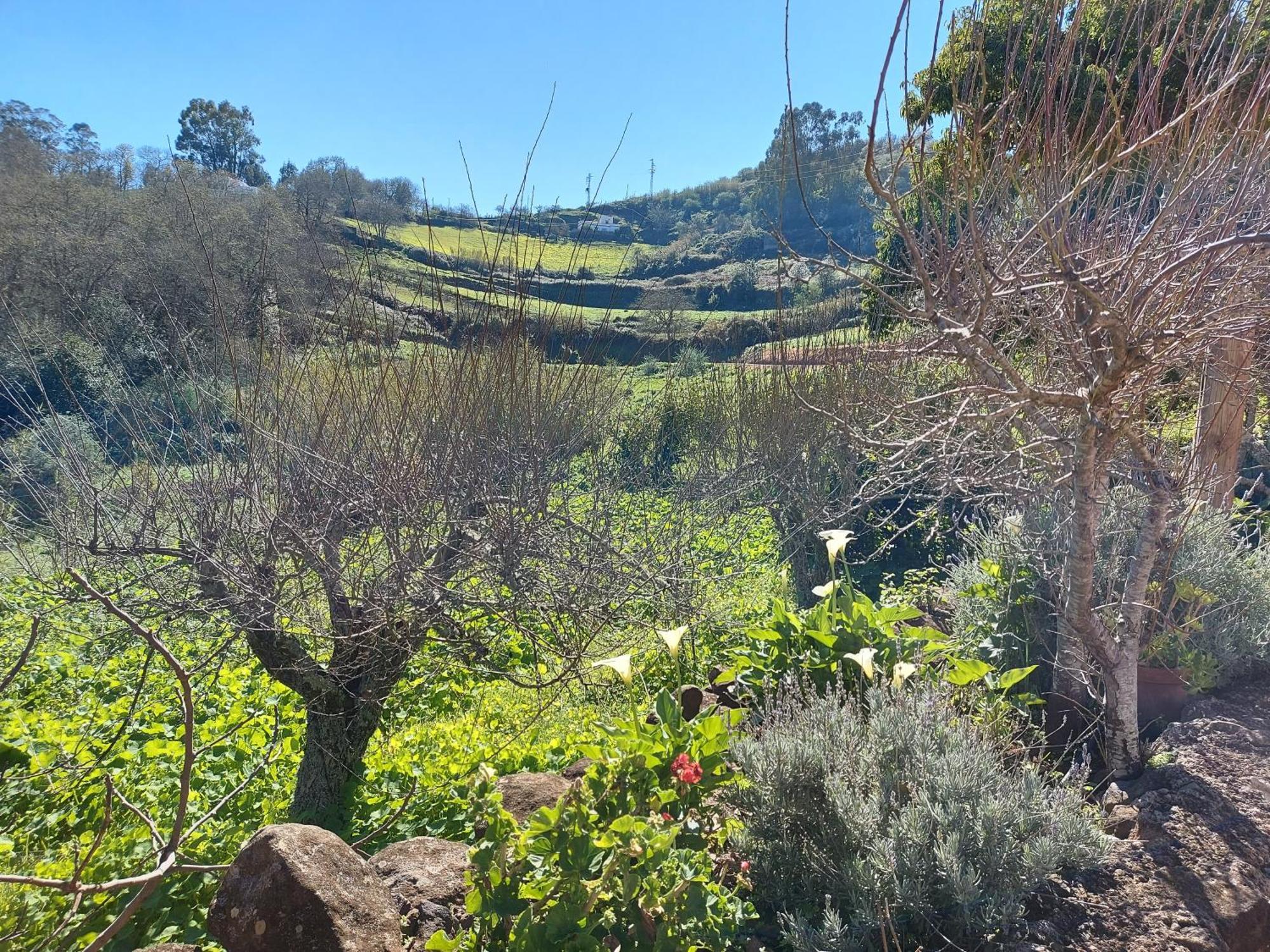 Finca Naturacanaria Moya  Екстериор снимка